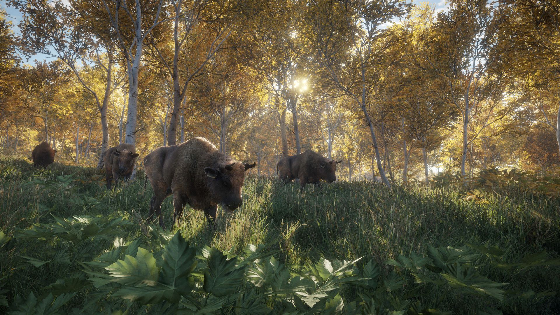 theHunter: Call of the Wild Announced 6 1 3 1
