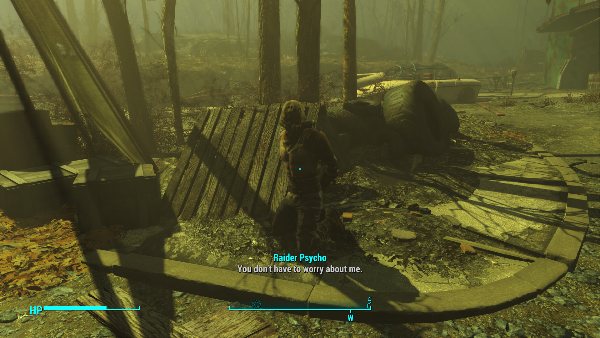 Fallout 4 npc overhaul фото 17