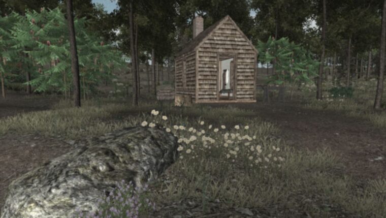 Walden A Peaceful Survival Game for Nature Lovers 1