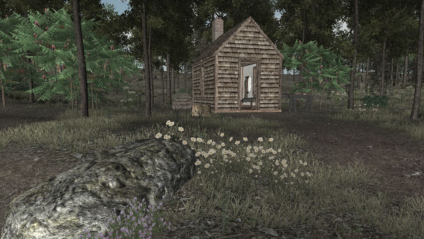 Walden A Peaceful Survival Game for Nature Lovers 1