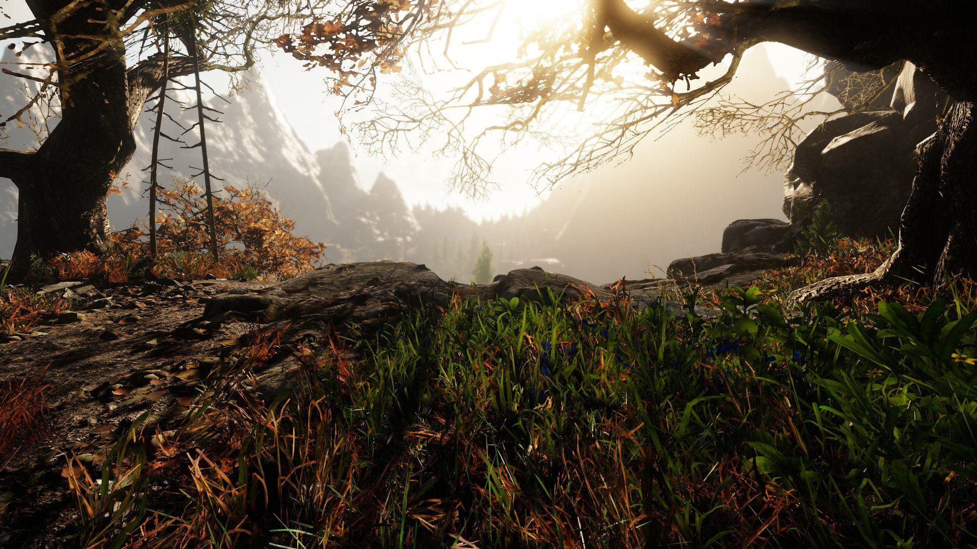 Lovecraftian horror game The Land of Pain now has a release date 11 1 10 2
