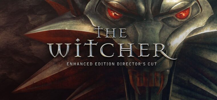 the witcher enhanced edition