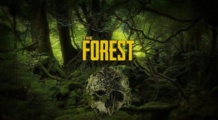 the forest