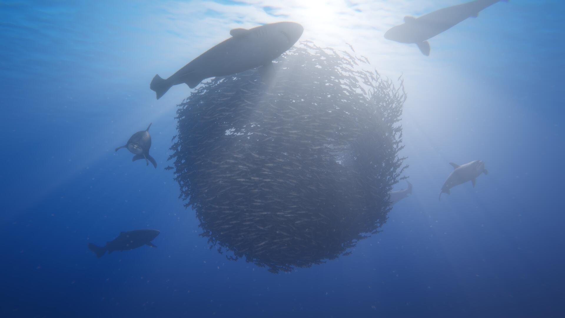 Beyond Blue - An upcoming underwater exploration game 7 beyond blue