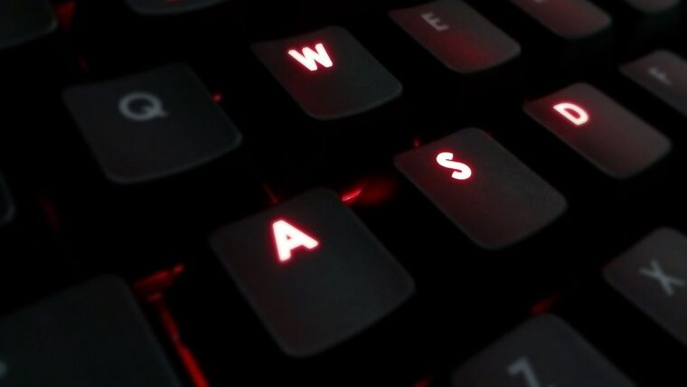 wasd