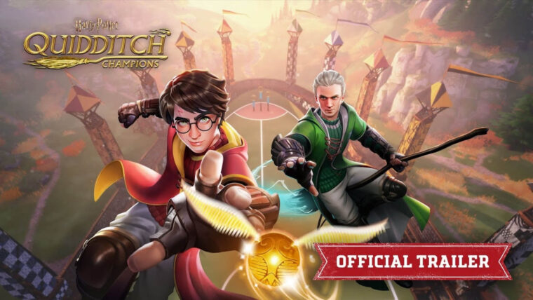 Harry Potter Quidditch Champions