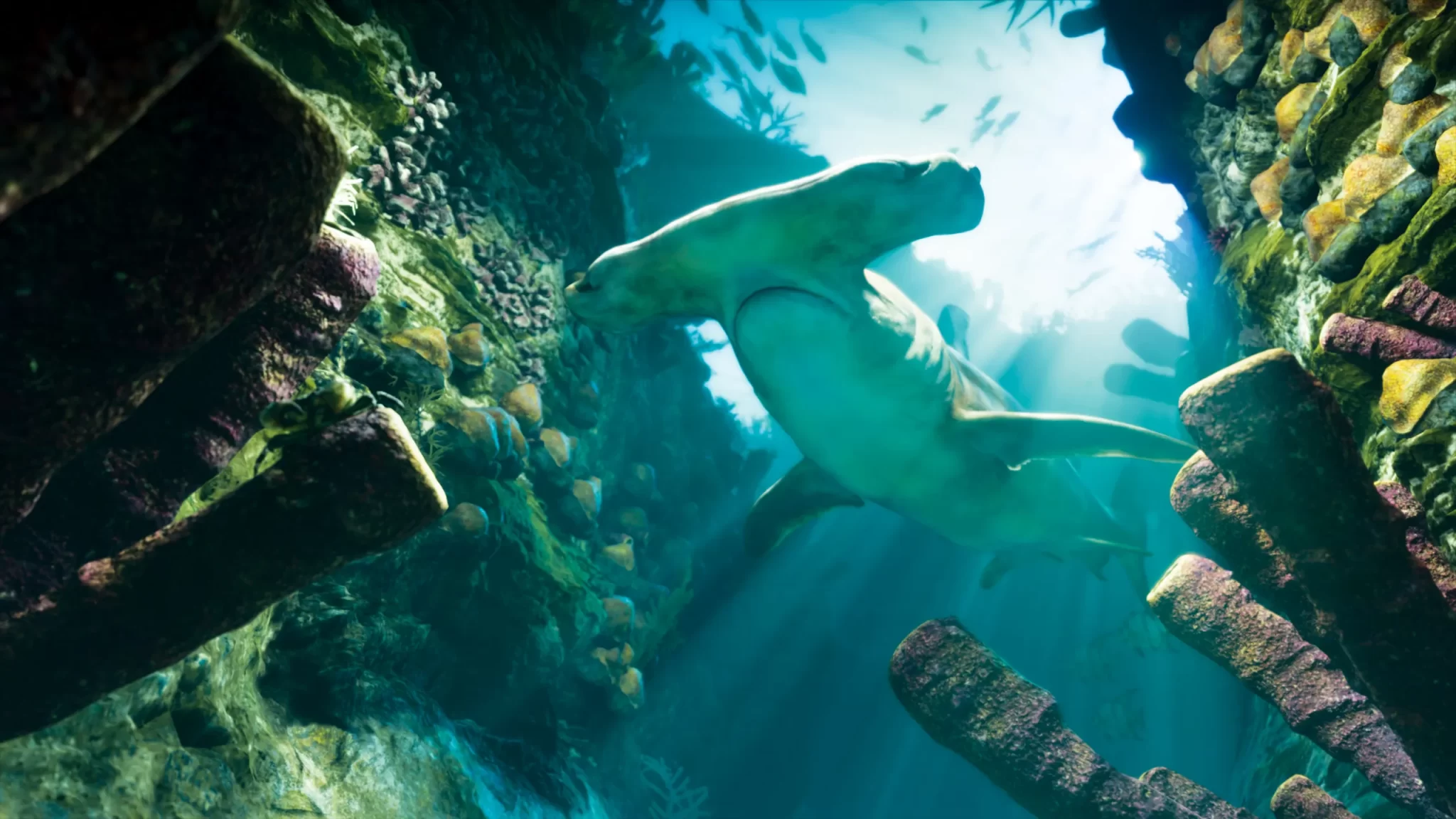 Sharks and coral in an underwater Grand Theft Auto VI scene